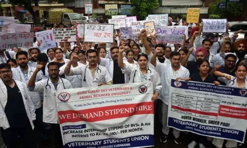 Ludhiana University में कम वजीफे के विरोध में इंटर्न पशु चिकित्सकों का प्रदर्शन Ludhiana University में कम वजीफे के विरोध में इंटर्न पशु चिकित्सकों का प्रदर्शन