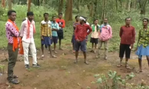 बस्तर दशहरा संकट में: तिरिया पंचायत ने रथ निर्माण के लिए लकड़ी कटाई पर लगाई रोक