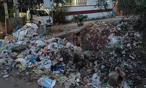 Alangulam में नहर से निकाली गई गाद सड़क पर, स्वच्छता प्रभावित