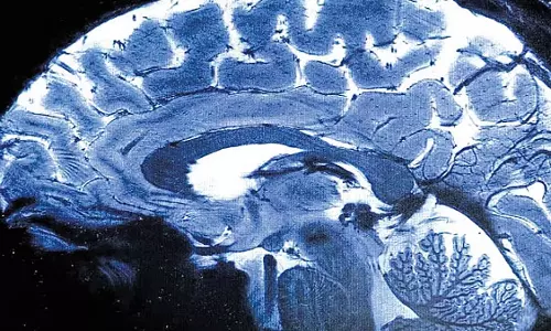 मालाबार क्षेत्र में अमीबा संक्रमण फैलने से चिंताएं बढ़ीं मालाबार क्षेत्र में अमीबा संक्रमण फैलने से चिंताएं बढ़ीं