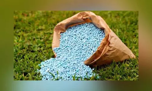 बीआरएस कार्यकर्ताओं ने यूरिया की कमी के खिलाफ किया प्रदर्शन