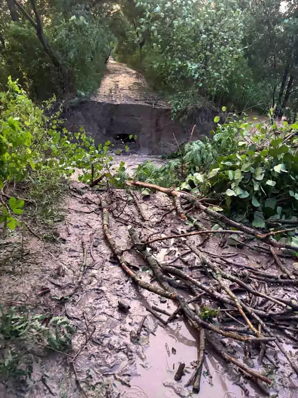 Punjab : इस इलाके में धुस्सी बांध टूटा, गांव खाली कराए गए Punjab : इस इलाके में धुस्सी बांध टूटा, गांव खाली कराए गए