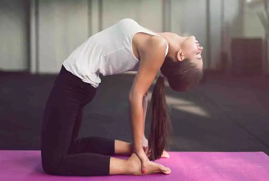 Yoga Tips: बैठते या झुकते समय कमर दर्द होता है तो करें ये तीन योगासन, मिलेगी राहत Yoga Tips: बैठते या झुकते समय कमर दर्द होता है तो करें ये तीन योगासन, मिलेगी राहत