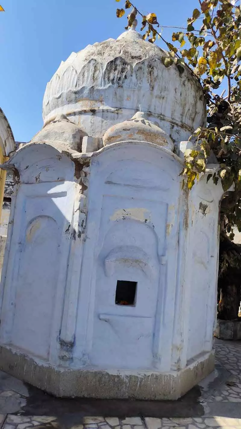 Firozpur के अंतिम शासक दंपत्ति की समाधियां उपेक्षित पड़ी हैं Firozpur के अंतिम शासक दंपत्ति की समाधियां उपेक्षित पड़ी हैं