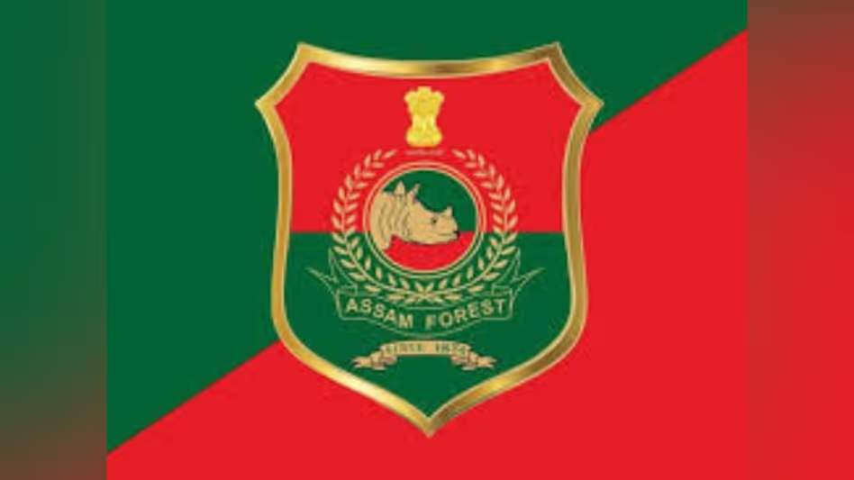 Assam वन विभाग ने विभिन्न प्रभागों में बड़े तबादलों के आदेश दिए Assam वन विभाग ने विभिन्न प्रभागों में बड़े तबादलों के आदेश दिए