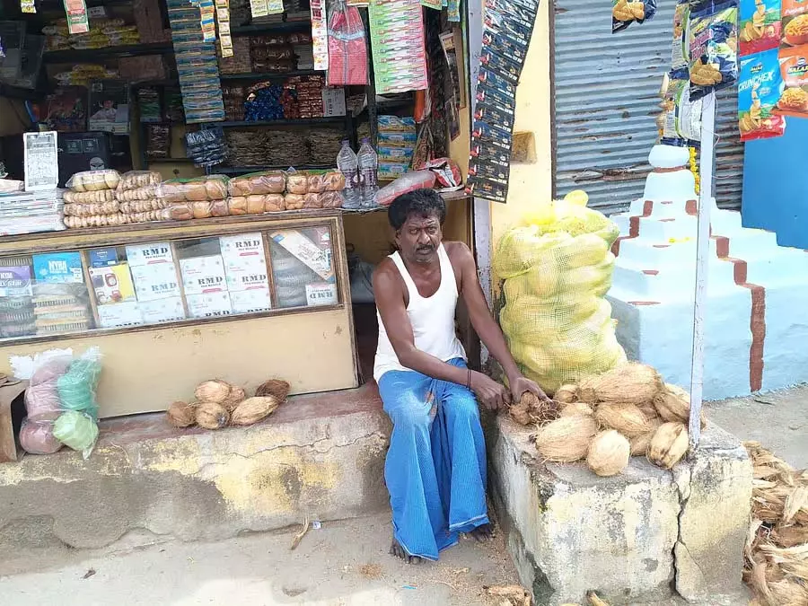 Karnataka : नारियल की कीमतों में बढ़ोतरी Karnataka : नारियल की कीमतों में बढ़ोतरी