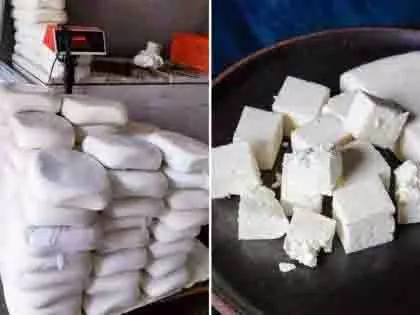 गणेशोत्सव से पहले नकली पनीर पर मुंबई पुलिस और FDA की कार्रवाई गणेशोत्सव से पहले नकली पनीर पर मुंबई पुलिस और FDA की कार्रवाई