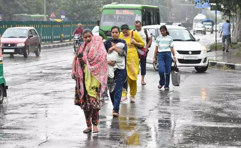 मानसून तेज, Chandigarh में भारी बारिश की संभावना मानसून तेज, Chandigarh में भारी बारिश की संभावना