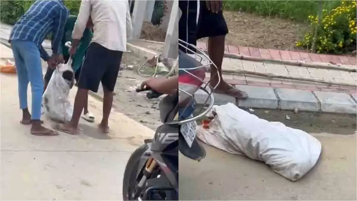 Kanpur: छात्र पर हमले के बाद कुत्तों से बदला, एफआईआर दर्ज Kanpur: छात्र पर हमले के बाद कुत्तों से बदला, एफआईआर दर्ज