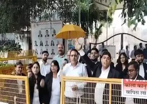 दिल्ली वकीलों ने LG की अधिसूचना का किया विरोध, पुलिस गवाहियों में वीडियो कॉन्फ्रेंसिंग पर आपत्ति दिल्ली वकीलों ने LG की अधिसूचना का किया विरोध, पुलिस गवाहियों में वीडियो कॉन्फ्रेंसिंग पर आपत्ति