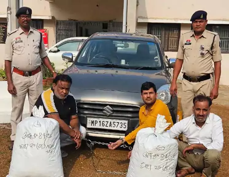 CG: 30 किलो गांजा तस्करी का भंडाफोड़, तीन आरोपी गिरफ्तार CG: 30 किलो गांजा तस्करी का भंडाफोड़, तीन आरोपी गिरफ्तार