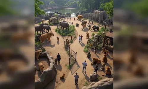 पर्यटकों के साथ किंग कोबरा की भी पसंदीदा जगह बनी ये जगह, सामने आई वजह
