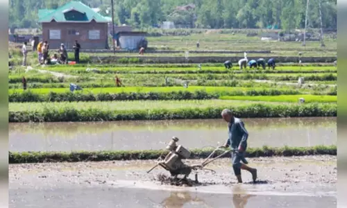 CM किसान योजना: मोहन माझी नुआखाई पर किसानों के लिए 1,041 करोड़ की सहायता जारी करेंगे CM किसान योजना: मोहन माझी नुआखाई पर किसानों के लिए 1,041 करोड़ की सहायता जारी करेंगे