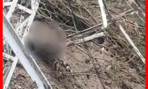 वैष्णो देवी जा रहे यात्रियों के लिए जरूरी खबर