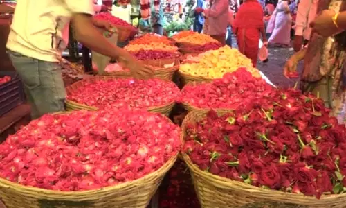 गौरी गणेश उत्सव: फूल, केले, खीरे के दाम बढ़े गौरी गणेश उत्सव: फूल, केले, खीरे के दाम बढ़े