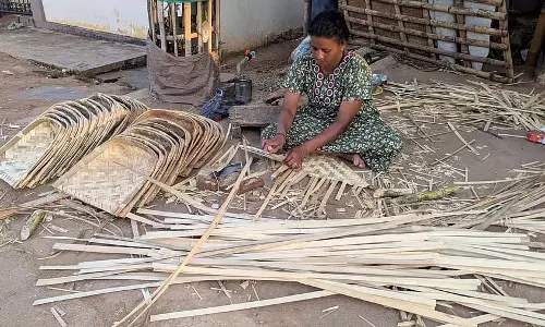 Chamarajanagar : गौरी बाग में मोरों की एक पेंटिंग