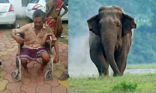 Madhya Pradesh : हाथी ने बुजुर्ग पर किया हमला, गांव में दहशत