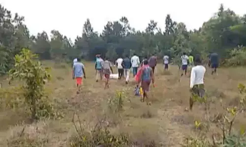 Odisha: सुबरनपुर में चारा बम से लकड़बग्घा घायल Odisha: सुबरनपुर में चारा बम से लकड़बग्घा घायल