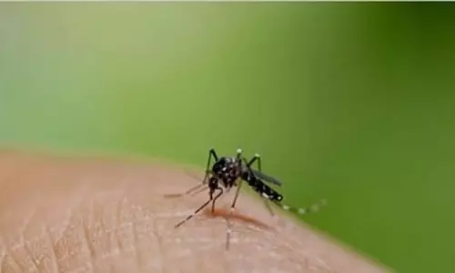Kerala में स्पष्ट निदान और फ्लू वैक्सीन योजनाओं की मांग पर चिकित्सा विशेषज्ञ