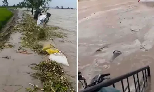 Punjab: बाढ़ से फसलें तबाह, किसान हुए परेशान