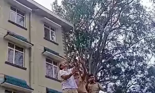 Nahan: पक्षी को तार से मुक्त करने में कामयाब हुई रेस्क्यू टीम Nahan: पक्षी को तार से मुक्त करने में कामयाब हुई रेस्क्यू टीम
