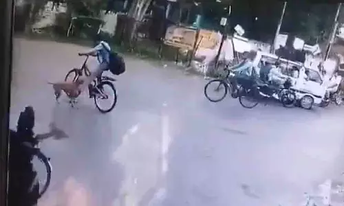 Sitapur: आवारा कुत्ते ने छात्र को काटा, पैर में गंभीर चोट Sitapur: आवारा कुत्ते ने छात्र को काटा, पैर में गंभीर चोट