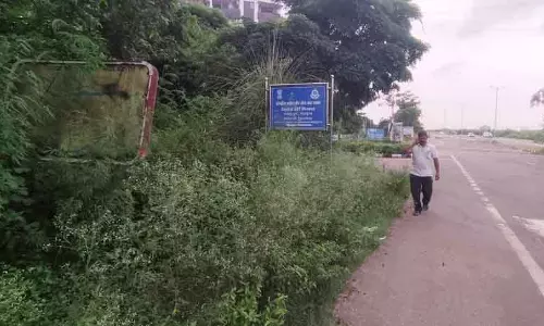 अनियंत्रित विकास के कारण Panchkula ट्रांस-घग्गर सेक्टर जंगल में तब्दील