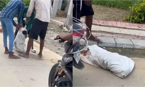 Kanpur: छात्र पर हमले के बाद कुत्तों से बदला, एफआईआर दर्ज