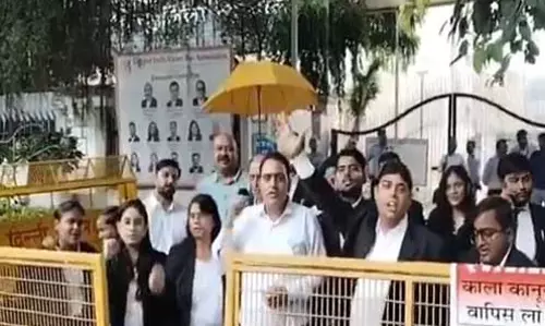दिल्ली वकीलों ने LG की अधिसूचना का किया विरोध, पुलिस गवाहियों में वीडियो कॉन्फ्रेंसिंग पर आपत्ति