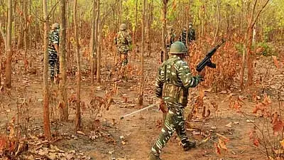 महाराष्ट्र-छत्तीसगढ़ सीमा के पास मुठभेड़ में चार नक्सली मारे गए महाराष्ट्र-छत्तीसगढ़ सीमा के पास मुठभेड़ में चार नक्सली मारे गए