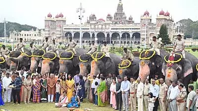 Karnataka: गणेश चतुर्थी पर दशहरा के हाथियों की विशेष पूजा की गई Karnataka: गणेश चतुर्थी पर दशहरा के हाथियों की विशेष पूजा की गई