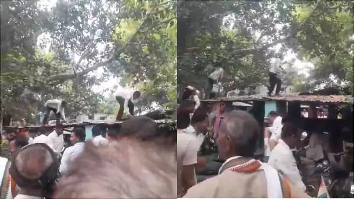 UP: तहसील में बंदर ने मचाया कैश कांड, बैग लेकर भागा UP: तहसील में बंदर ने मचाया कैश कांड, बैग लेकर भागा