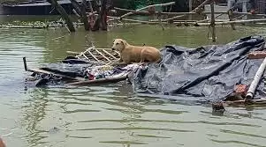 Srinagar: बाढ़ का पानी कुर्सु राजबाग की गलियों में प्रवेश Srinagar: बाढ़ का पानी कुर्सु राजबाग की गलियों में प्रवेश