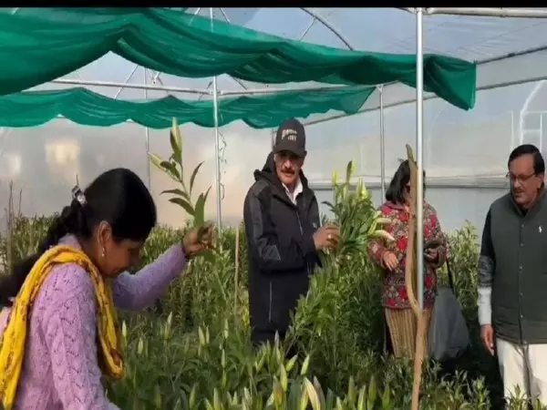 Pauri Garhwal: महिलाएं लिली की खेती से आत्मनिर्भर Pauri Garhwal: महिलाएं लिली की खेती से आत्मनिर्भर