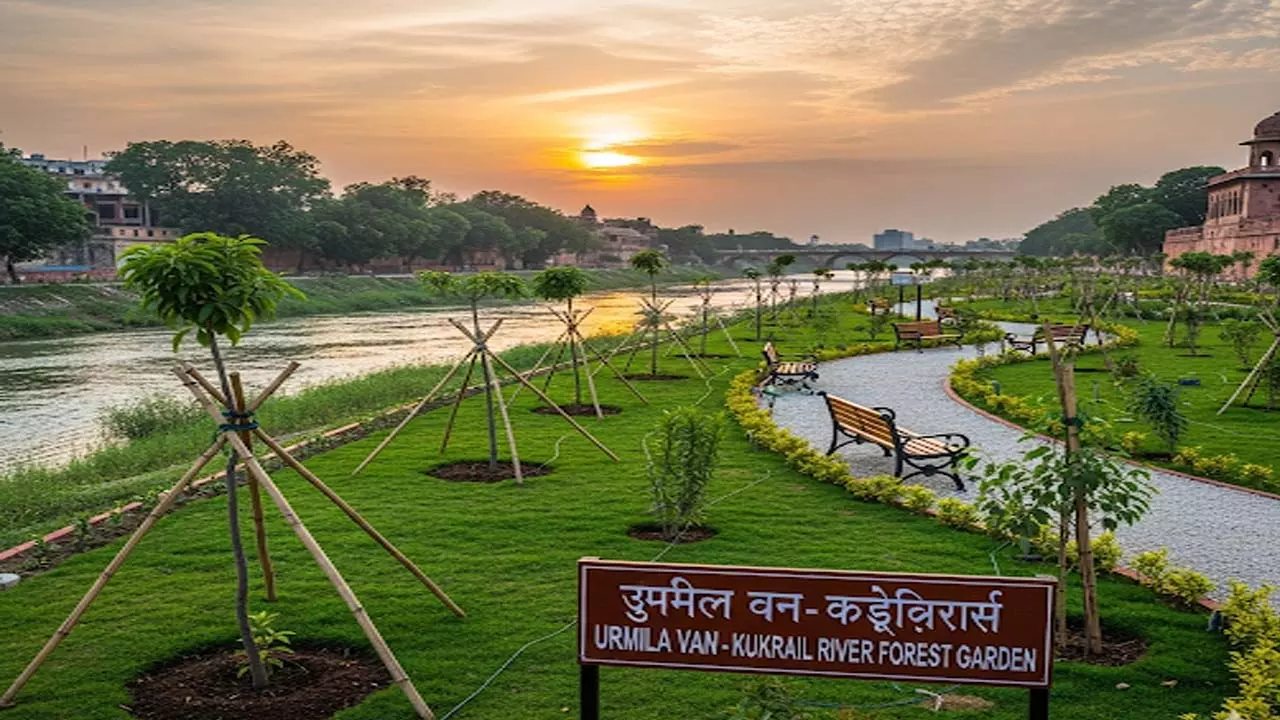 लखनऊ में कुकरैल नदी किनारे उर्मिला वन का विकास लखनऊ में कुकरैल नदी किनारे उर्मिला वन का विकास