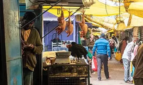 Indore : हिंदुओं और जैनियों के आगामी त्योहारों पर मांस की बिक्री पर पूरी तरह प्रतिबंध Indore : हिंदुओं और जैनियों के आगामी त्योहारों पर मांस की बिक्री पर पूरी तरह प्रतिबंध