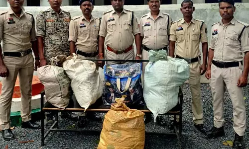 गांजा तस्करी का बड़ा खुलासा, दो महिला गिरफ्तार