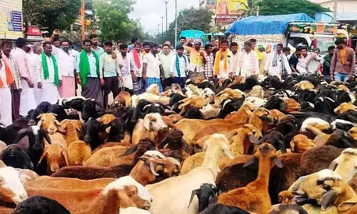 Kottur : चरवाहों की मांगों को पूरा करने की मांग
