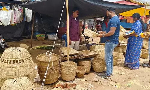 Hampapur : बांस के अंकुरों की मांग में वृद्धि Hampapur : बांस के अंकुरों की मांग में वृद्धि