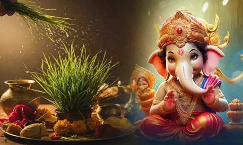 गणेश जी की प्रिय दूर्वा के 5 चौंकाने वाले वैज्ञानिक फायदे गणेश जी की प्रिय दूर्वा के 5 चौंकाने वाले वैज्ञानिक फायदे