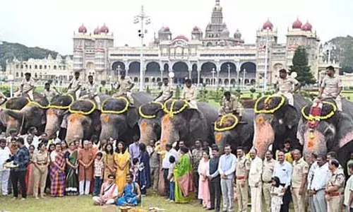 Karnataka: गणेश चतुर्थी पर दशहरा के हाथियों की विशेष पूजा की गई