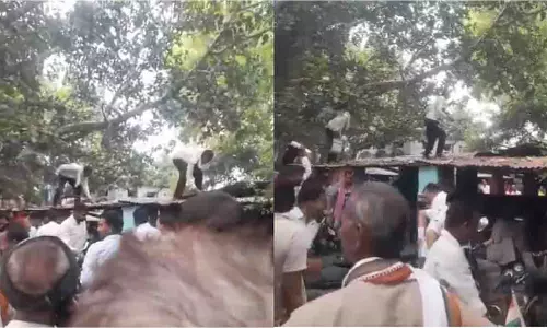 UP: तहसील में बंदर ने मचाया कैश कांड, बैग लेकर भागा