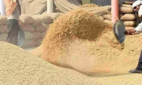 धान घोटाला: मुख्य संदिग्ध सहित 17 गिरफ्तार