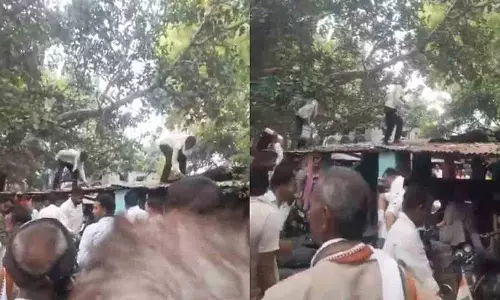 बंदर ने नकदी का बैग छीना और नोट बिखेरे.. फिर क्या हुआ? बंदर ने नकदी का बैग छीना और नोट बिखेरे.. फिर क्या हुआ?
