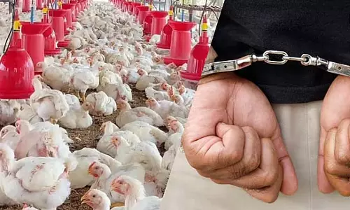 poultry farm की आड़ में बंगाल में करीब 150 करोड़ की ठगी!
