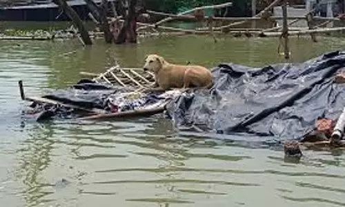 Srinagar: बाढ़ का पानी कुर्सु राजबाग की गलियों में प्रवेश
