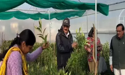 Pauri Garhwal: महिलाएं लिली की खेती से आत्मनिर्भर