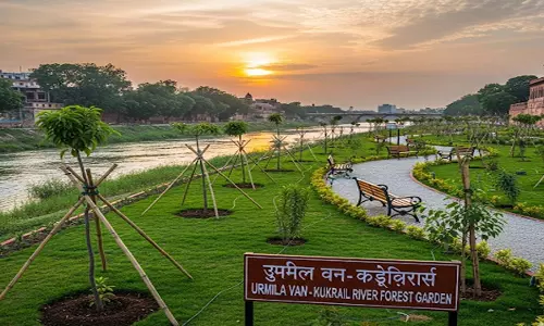 लखनऊ में कुकरैल नदी किनारे उर्मिला वन का विकास लखनऊ में कुकरैल नदी किनारे उर्मिला वन का विकास