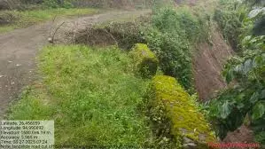 Nagaland : केयू मोपोंग इकाई ने सड़क बहाली की अपील की Nagaland : केयू मोपोंग इकाई ने सड़क बहाली की अपील की