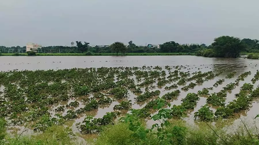 भारी बारिश से घरों में पानी घुसा; पुल और फसलें जलमग्न भारी बारिश से घरों में पानी घुसा; पुल और फसलें जलमग्न